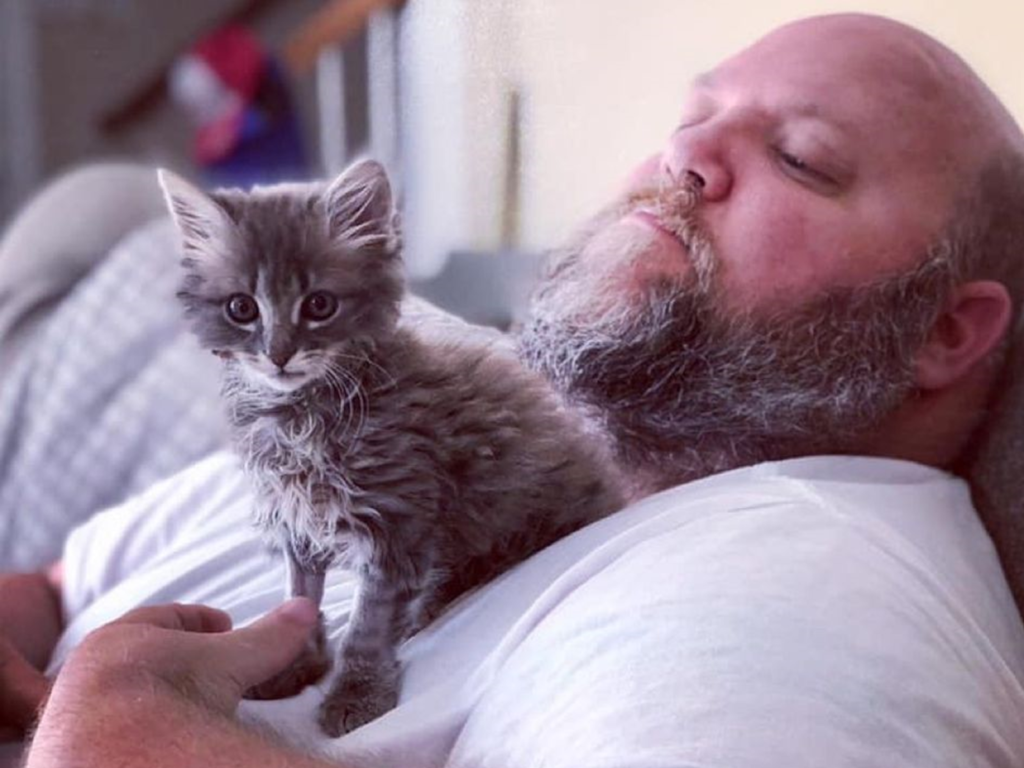 小灰貓因傷切除後腿與尾巴，讓牠變成「三腳貓」，幸好男子不嫌棄牠的缺陷，把小灰貓當成寶霸氣收編！（圖／Jamie Adams）