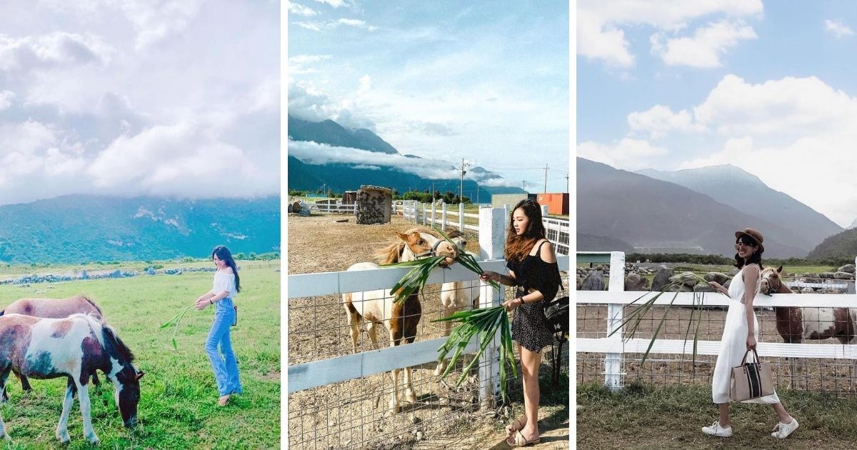 ▲崇德瑩農場 (From left to right, photos courtesy of @________531.y/@_blairchen/@___waguania___/Instagram)