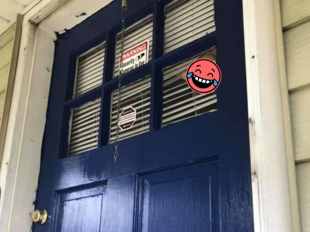 一天當女子琪拉（Kira Pierson）在門外粉刷前門抬頭一看，發現自家橘白貓馬可仕（Marcus）竟隔著窗口，從門內以不爽憤怒的表情盯著她看。（圖／Kira Pierson） 