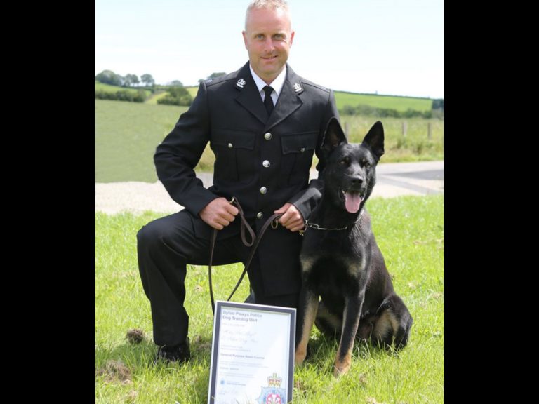 警官彼得（Peter Lloyd）和警犬麥克斯（Max）從訓練時期就是好夥伴，不久前麥克斯才獲得執照正式成為警犬。（圖／Dyfed-Powys Police） 