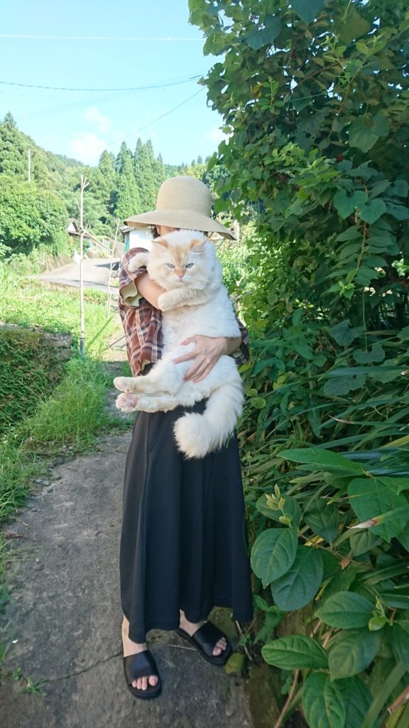 當女主人抱起，白貓體型是她的半身大！（圖／Twitter@WeUADL1Ws02osvw）