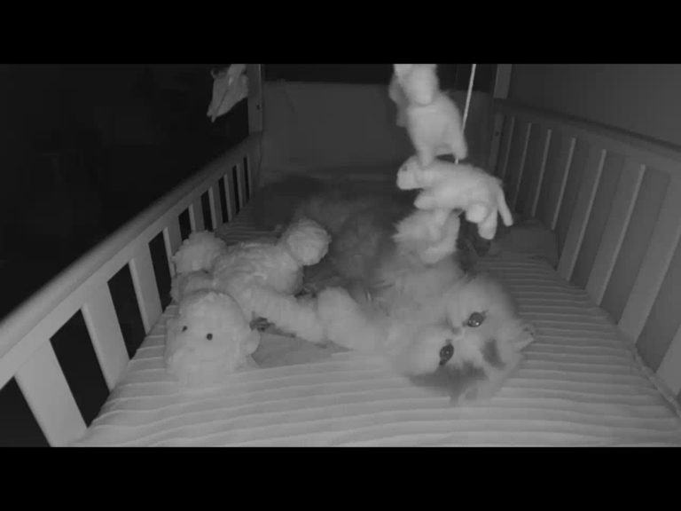 深夜嬰兒床監視器通知一直響　女子困惑：兒子不在那啊？
