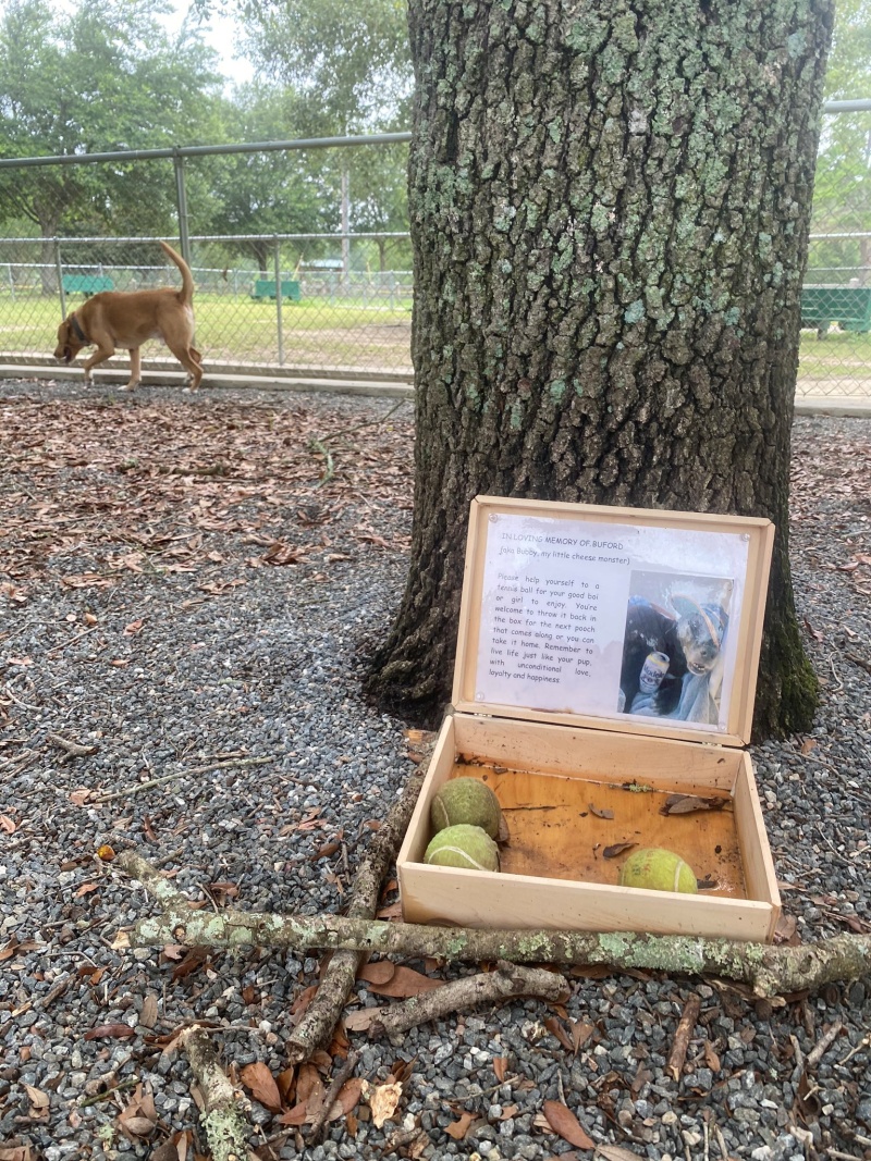 在狗公園散步時，女子見到這個內有網球的木箱，走近一看卻忍不住流淚。（圖／Twitter@courttkardashh） 