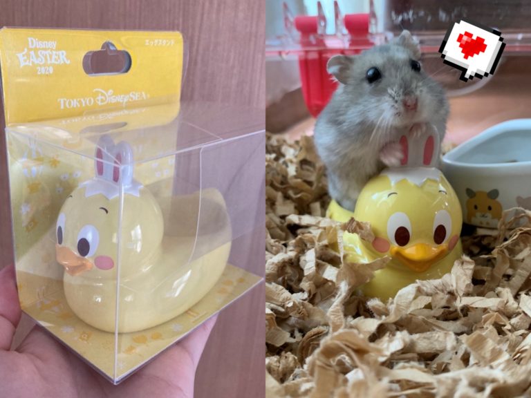 日本一名推特主@p_e_p_e_p_e日前買了個放雞蛋的蛋架回家，沒想到家中鼠寶似乎很喜歡，一試用之後竟完全無違和，簡直就是天生一對！（圖／Twitter@p_e_p_e_p_e） 