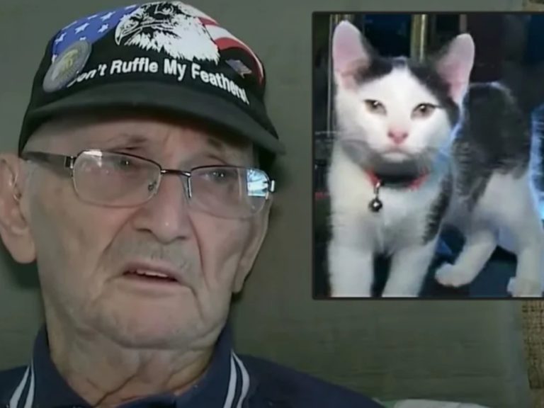 一名85歲老人羅恩（Ron Williams）日前在浴室跌倒16個小時無法動彈，沒想到平時一句無心的話語，竟成為他與愛貓毛毛（Fluffy）之間的神祕暗號，意外救了他一命！（圖／FOX 17 WXMI） 
