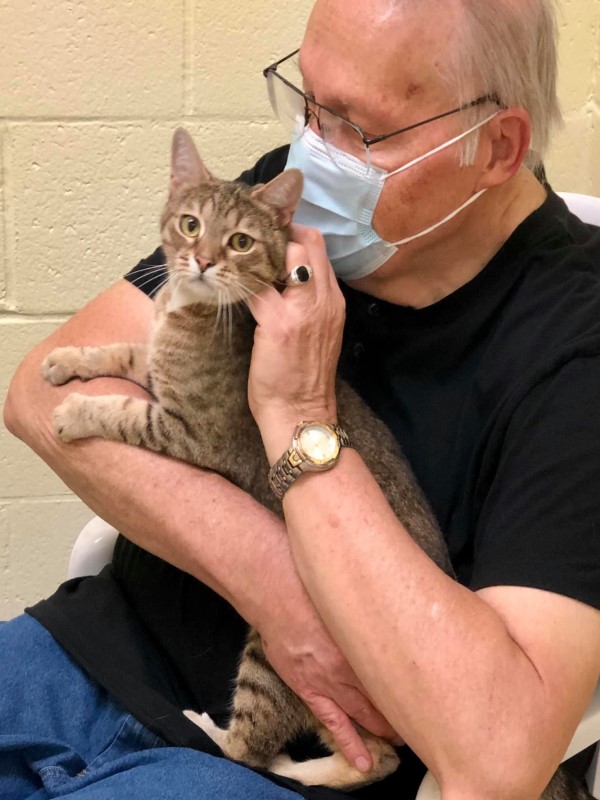 虎斑貓從排水溝獲救後　向男子使出「大絕招」：抱我回家！