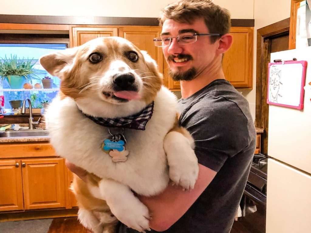 美國一隻柯基因為巨大體型，被爸爸抱起來像在扛瓦斯桶（圖／IG@noahthechubbycorgi）