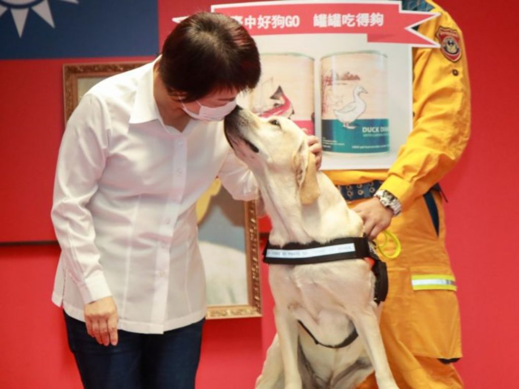 ▲台中搜救犬「鐵雄」，市長盧秀燕公開授階2線1星的搜救犬(圖／市政府提供2020.8.4)