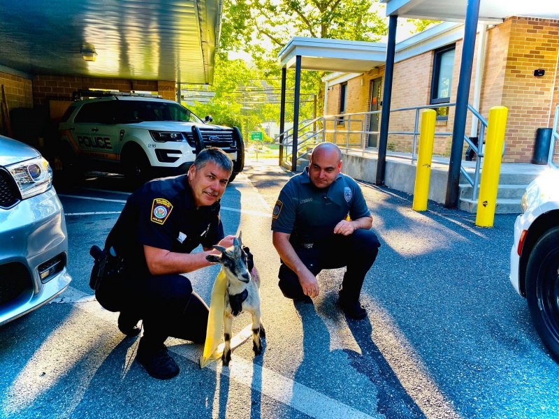 警員查爾斯和同事前往通報現場，才發現走失的是隻羊。（圖／Facebook@Salisbury Township Police Department） 