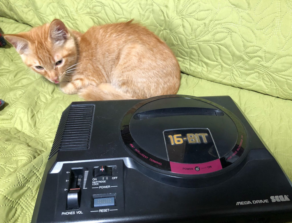 日本一名推主心血來潮，將SEGA MD遊戲機放在小橘貓身旁，意外發現小橘貓成長速度神快！（圖／Twitter@tezzco）