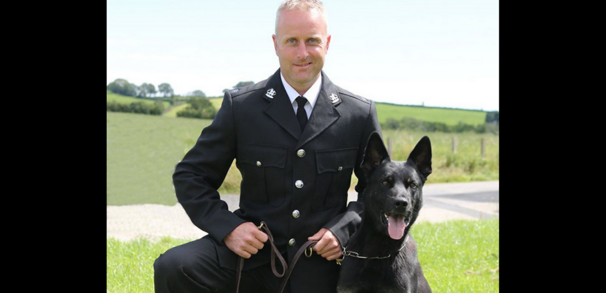 ▲菜鳥警犬第一天上工，迅速找到失蹤母子驕傲立功。（圖／Dyfed-Powys Police）