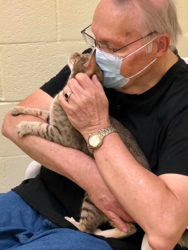 虎斑貓從排水溝獲救後　向男子使出「大絕招」：抱我回家！