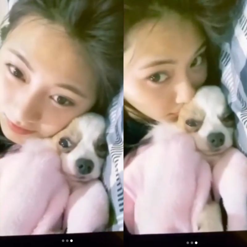 ▲子瑜上傳和愛犬互動的影像。（圖／TWICE