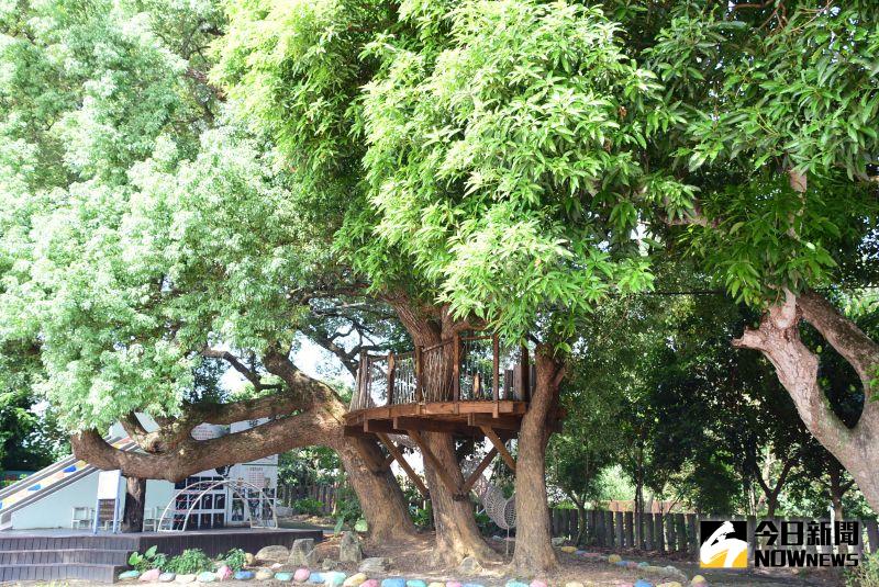 ▲芬園鄉同安國小校園還有樹屋。(圖/記者陳雅芳攝,2020.09.01)