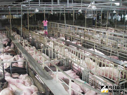 放寬美牛絞肉、美豬關稅！餐飲業低調觀望　曝未來可能
