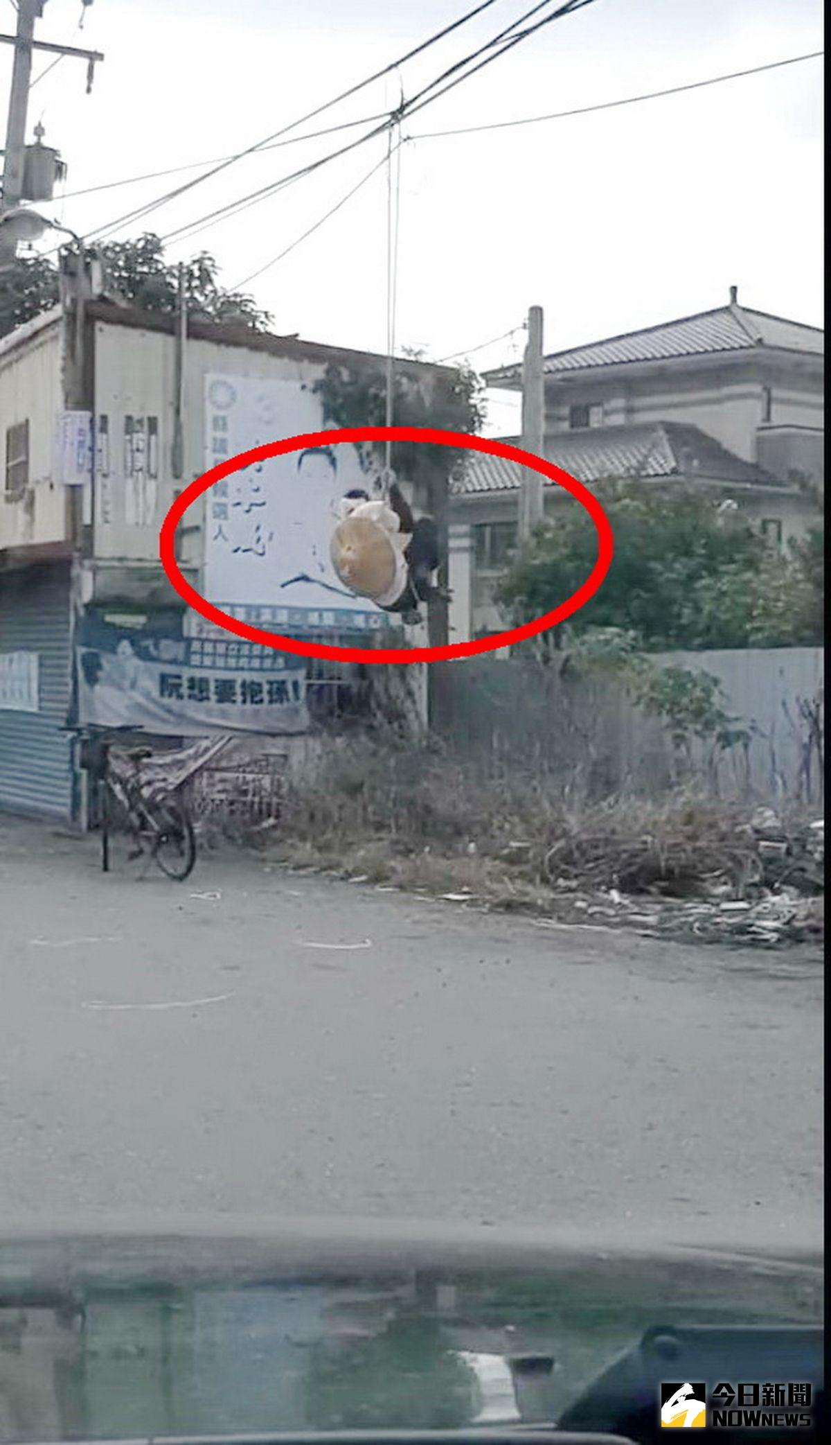 ▲一名身披斗笠男子在溪湖交流道附近徒手拉扯電線桿上的電纜線不停蠕動身體，像是在練身體一樣，讓人傻眼。（圖/翻攝彰化踢爆網）