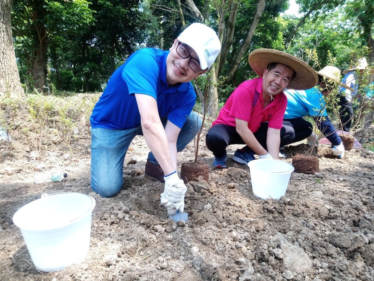 ▲今天是小花蔓澤蘭防治日，邀請民眾一起來拔草（圖/新北市政府提供）