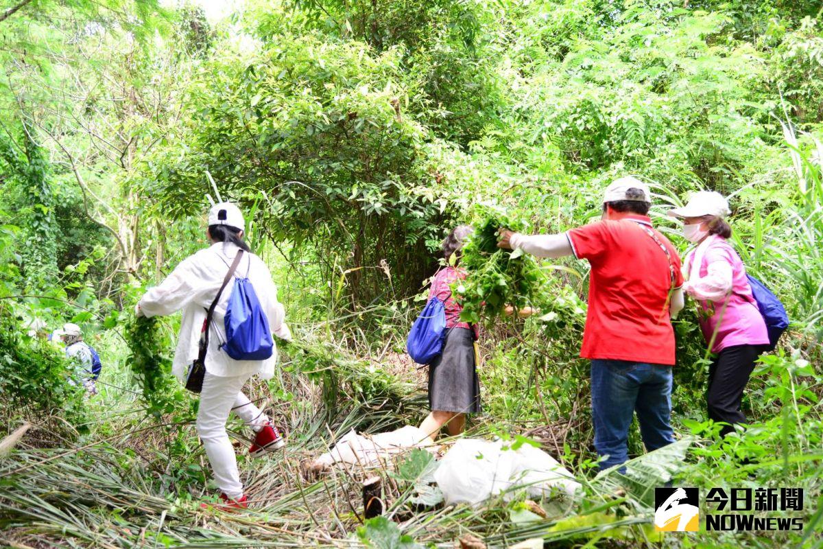 ▲南投林管處舉辦「蔓蔓來，快快除～防治外來入侵種！」活動，田中鎮碧峰里以清除小花蔓澤蘭68.4公斤拔得頭籌。（圖／記者陳雅芳攝，2020.09.05）