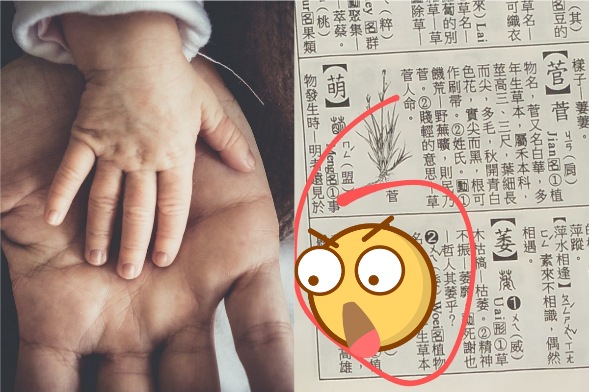 ▲一名網友指出，自己到戶政事務所要幫新生兒報戶口，沒想到卻因一理由慘被拒絕。（示意圖／翻攝Pixabay、桃園人桃園事.生活.分享.靠北.討論區臉書）