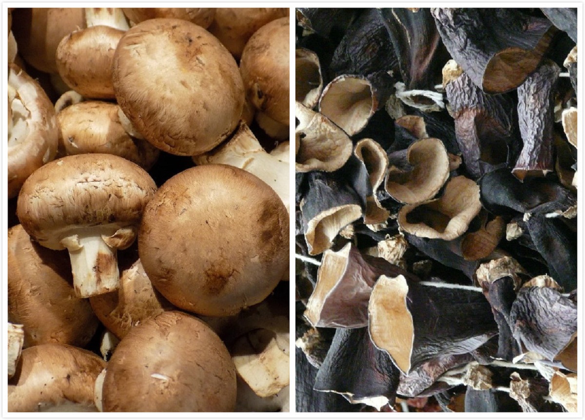 ▲有網友好奇在PTT提問「香菇跟木耳價格怎麼差這麼多？」釣出內行揭密「關鍵原因」。（合成圖／翻攝自《pixabay》）