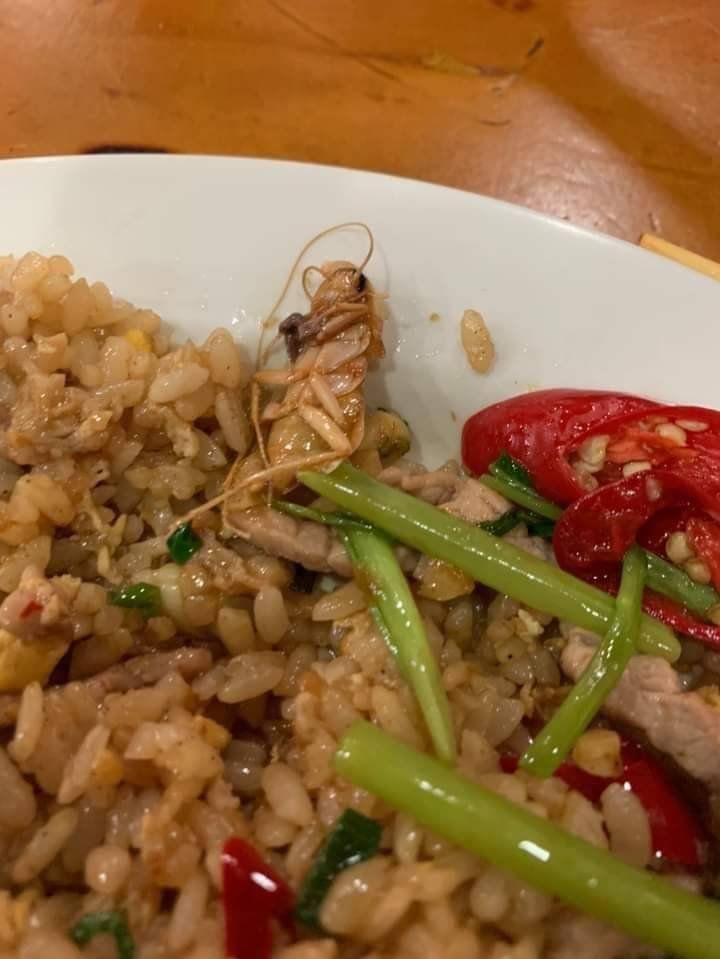 ▲蝦仁炒飯內驚見一隻熟透的蟑螂。(圖/翻攝自PTT)