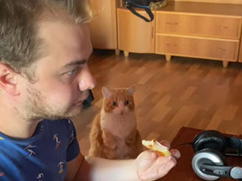▲正當主人在吃早餐，橘白貓呆坐在一旁猛盯眼前的食物。（圖／翻攝自Youtube@ViralHog）