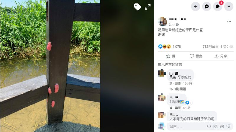 ▲網友在臉書社團《爆系知識家》中詢問大家「這些粉色東西是什麼?」(圖/翻攝自臉書社團《爆系知識家》)