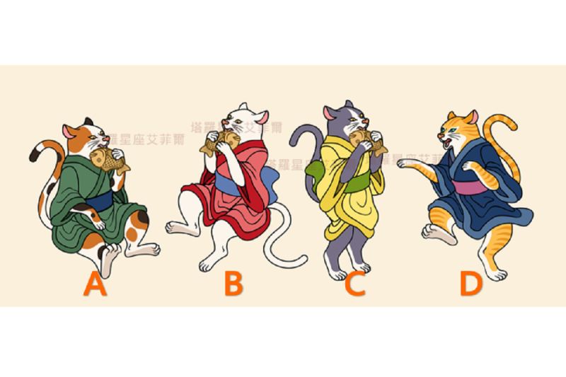 ▲直覺選哪隻貓能帶來好運？測你的「秋天財運」。（圖／艾菲爾老師授權提供）