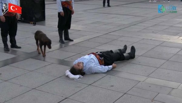 ▲浪犬遠遠看到紐曼,便湊上前來。(圖/İzmit