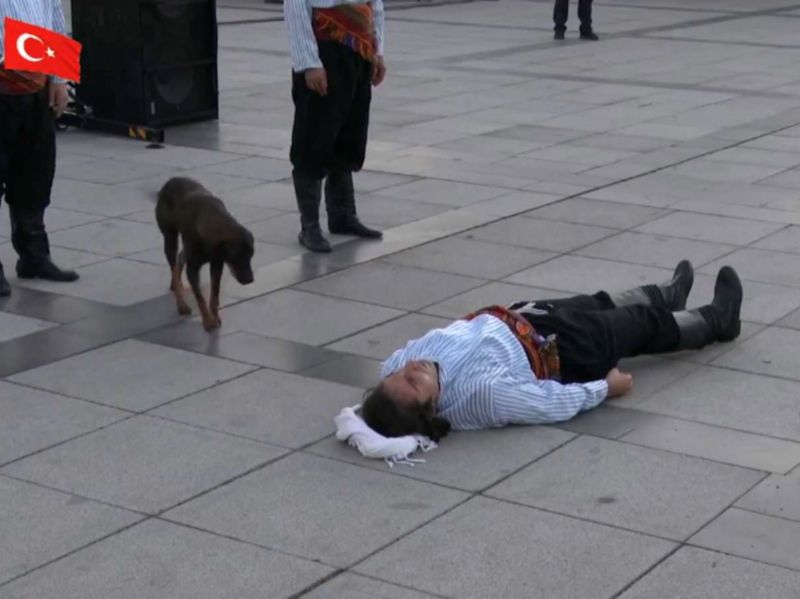 ▲土耳其一名街頭藝人紐曼（Numan Ertuğrul Uzunsoy）日前演出時遇到一隻浪犬主動上前關心營救。（圖／İzmit Belediyesi）