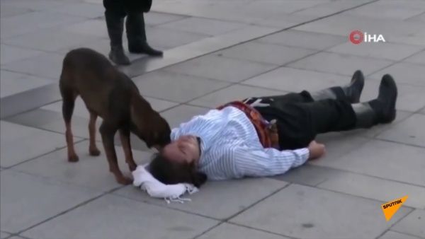 ▲先是嗅舔了一下,見他都沒反應。(圖/İzmit