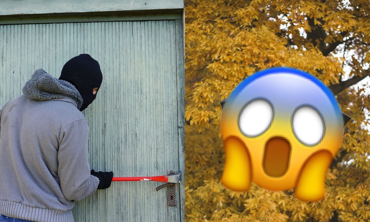 ▲女網友表示「台灣人最常偷的東西」是「雨傘」，連法國人都認同並以一句話嗆爆。（左示意圖，圖中人物與文章中內容無關，取自pixabay／右示意圖，取自unsplash）