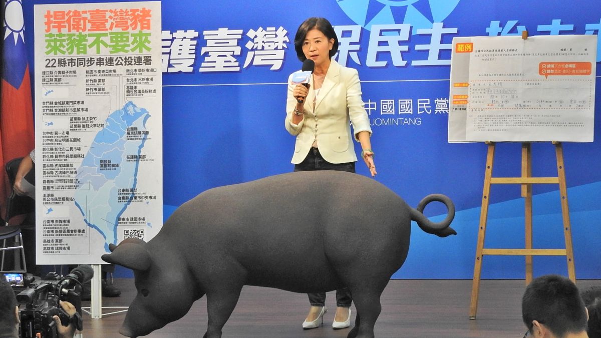 ▲國民黨11日公布全民食安公投全國22縣市連署地點，並自本周末的12、13日兩天於全台同步舉辦第一階段連署。(圖/記者陳弘志攝，2020.09.11)