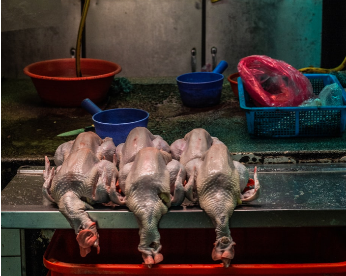馬來西亞擬禁雞肉出口　新加坡招牌料理海南雞飯價格喊漲