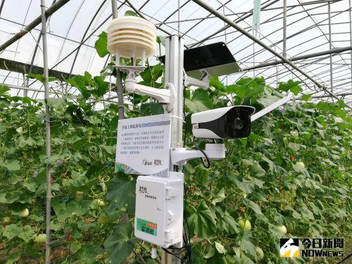 ▲農產品培育溫室等，也能申請免徵房屋稅。（圖／NOWNEWS資料照）