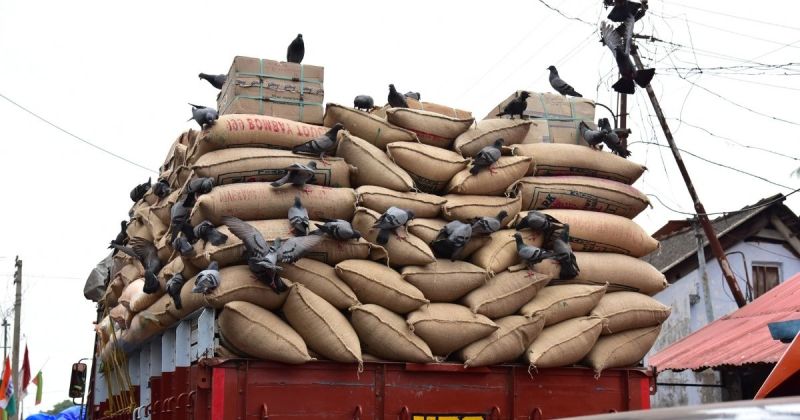 ▲印度作家於上週四在推特上分享一段姐夫誤訂一大卡車的米的故事，逗樂許多網友。(Shutterstock)