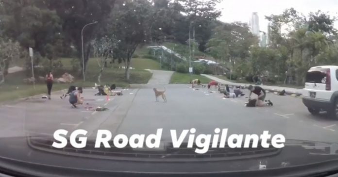 ▲圖／取自臉書SG Road Vigilante