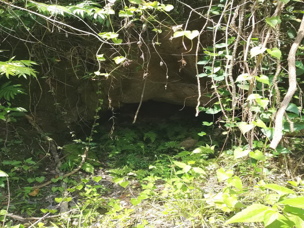 ▲霧峰區峰谷山區「九彎一空」，該處山洞深具歷史意義，前有一條無名溪蜿蜒流過，呈現9處彎曲，生態豐富，景觀優美風景美。(圖／林重鎣攝2020.9.14)