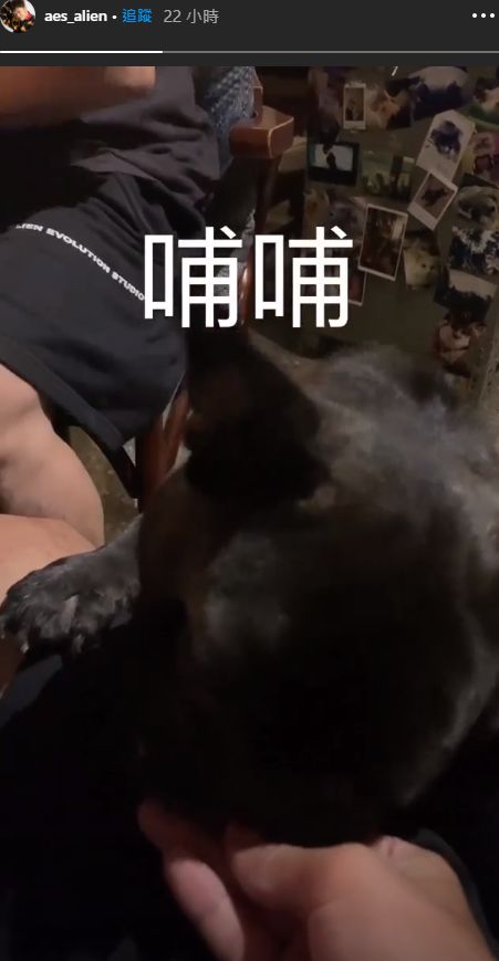 ▲小鬼昨發布與愛犬互動的影像。（圖／黃鴻升IG）