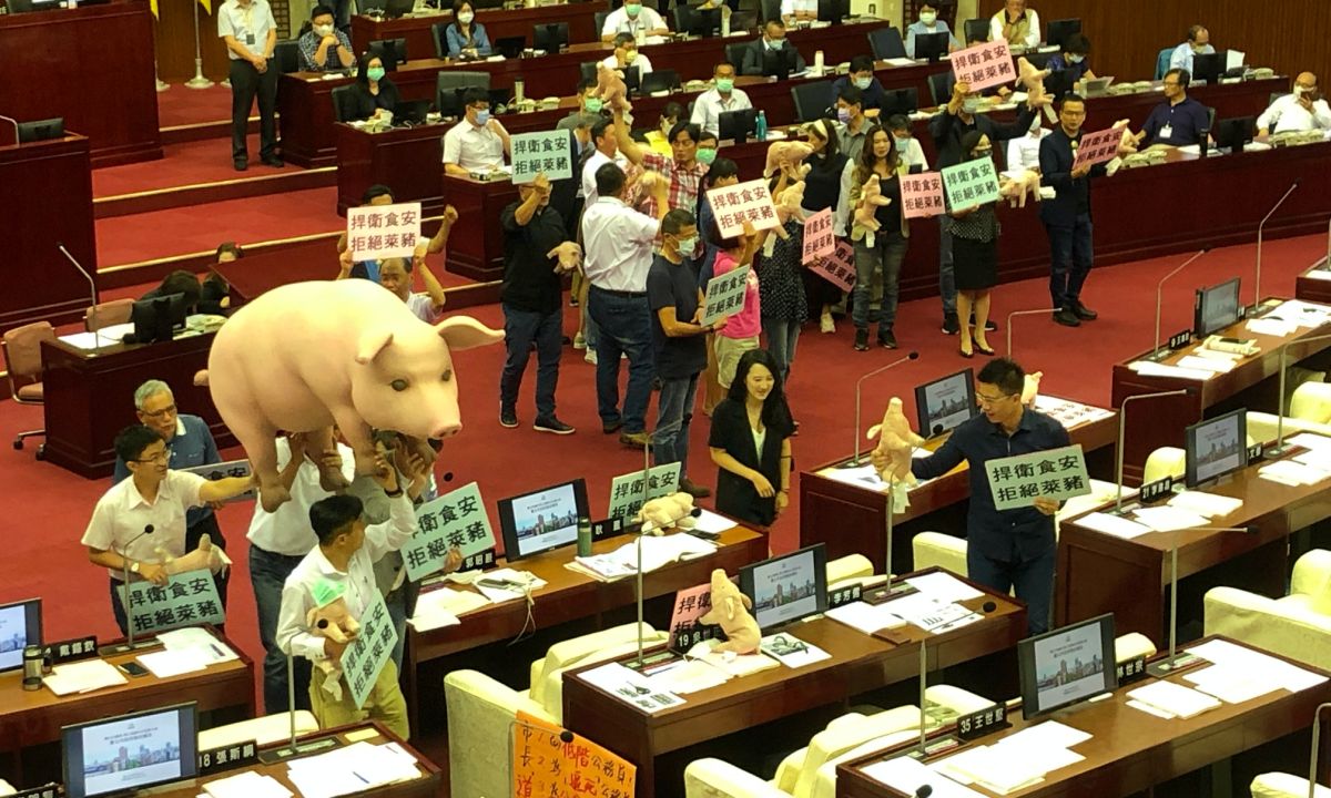 ▲國民黨台北市議員17日下午在台北市長柯文哲施政報告前，為了反對含有瘦肉精的美豬進口，一度杯葛柯文哲上台報告。（圖／記者丁上程攝,2020.9.17）