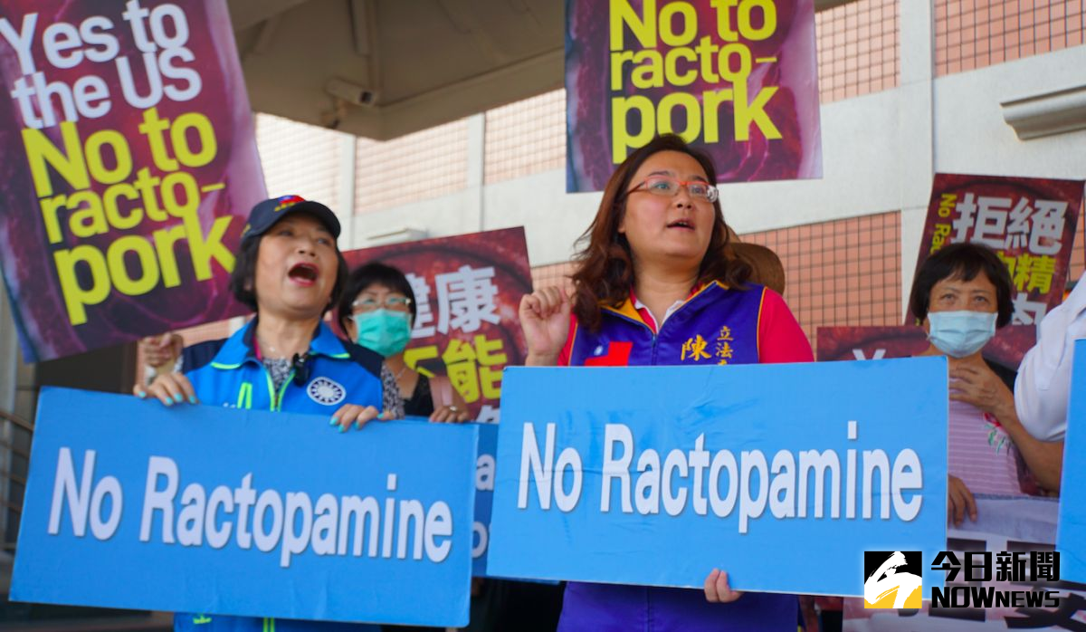 ▲美國務次卿訪台，國民黨立委葉毓蘭、陳玉珍17日下午在松山機場前拉布條抗議，不歡迎含萊克多巴胺美豬來台。（圖／記者呂炯昌攝.2020.09.17）