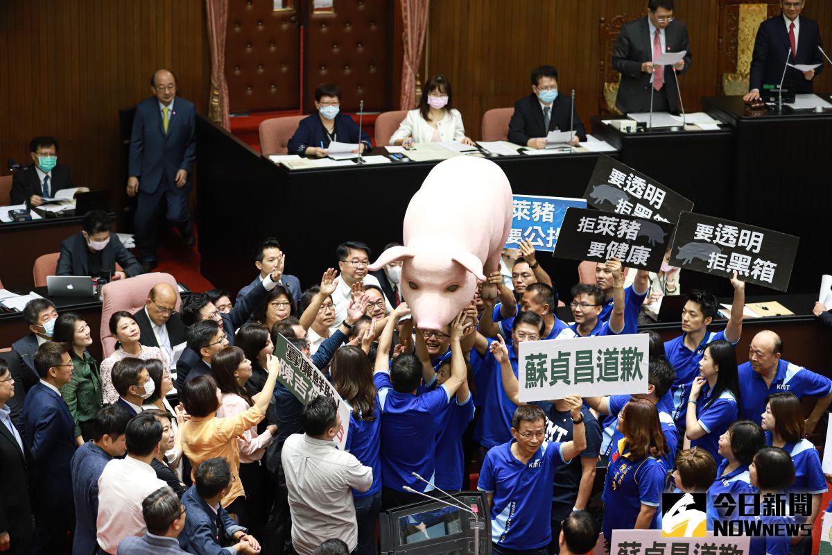 ▲國民黨團為反對含萊克多巴胺的美豬進口，持續杯葛立法院議事。（圖／記者葉政勳攝 , 2020.09.18）