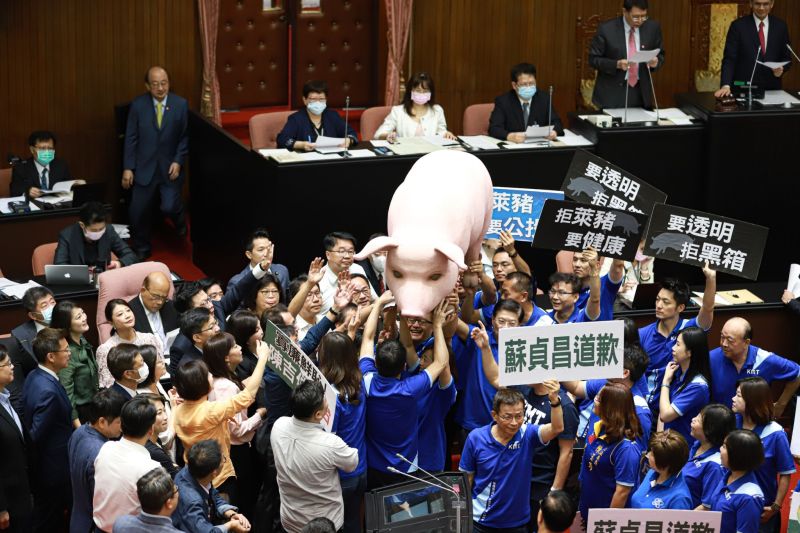 ▲國民黨團為反對含萊克多巴胺的美豬進口,持續杯葛立法院議事。(圖/記者葉政勳攝