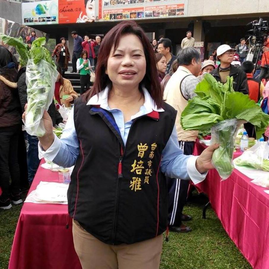 ▲國民黨籍議員曾培雅涉嫌詐領助理費，檢方訊後以20萬元交保。（圖／翻攝曾培雅臉書）