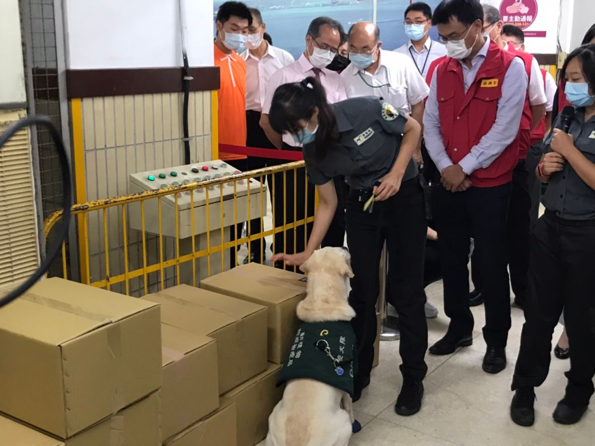 郵政郵包成非洲豬瘟破口？關務署：電商貨品非郵局通關