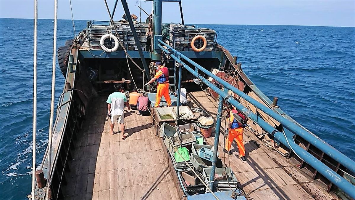 ▲東北季風鋒面南下，澎湖海巡隊超前部署於花嶼西北20.7浬海域，發現「閩東漁64578」陸船(拖網漁船)越界違法捕魚。（圖／澎湖海巡隊提供）