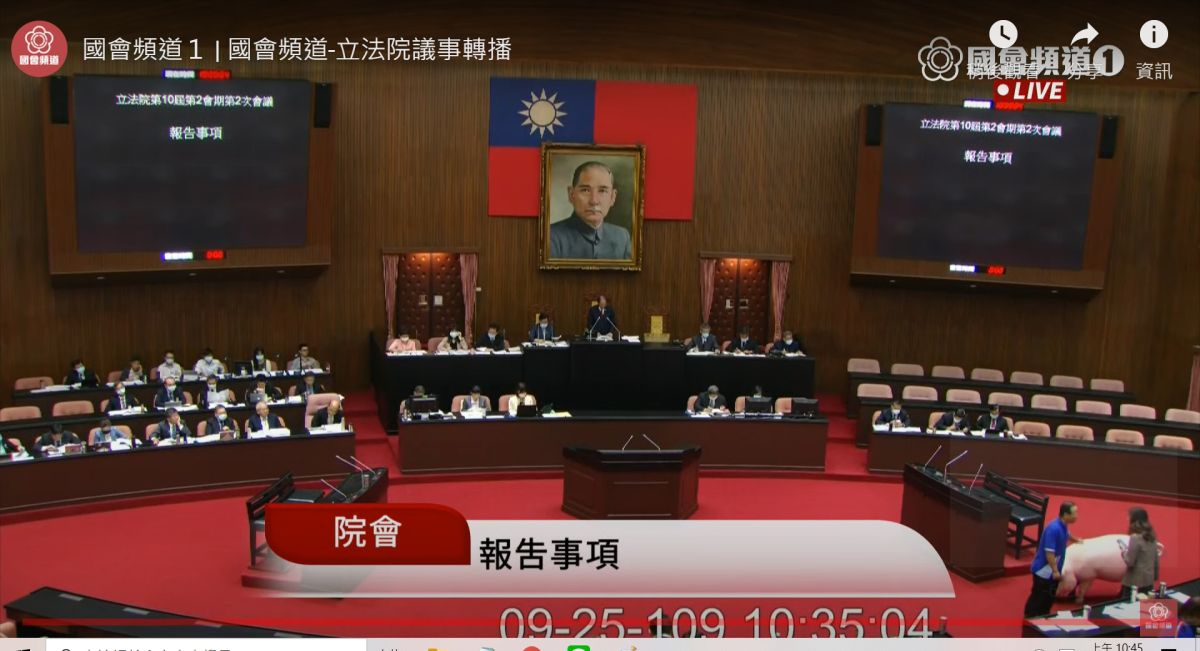▲國民黨團提案進口瘦肉精美豬的行政命令要在相關委員會審查，民進黨並未阻止，未來美豬議題戰線將延長。 (圖/翻攝國會直播)