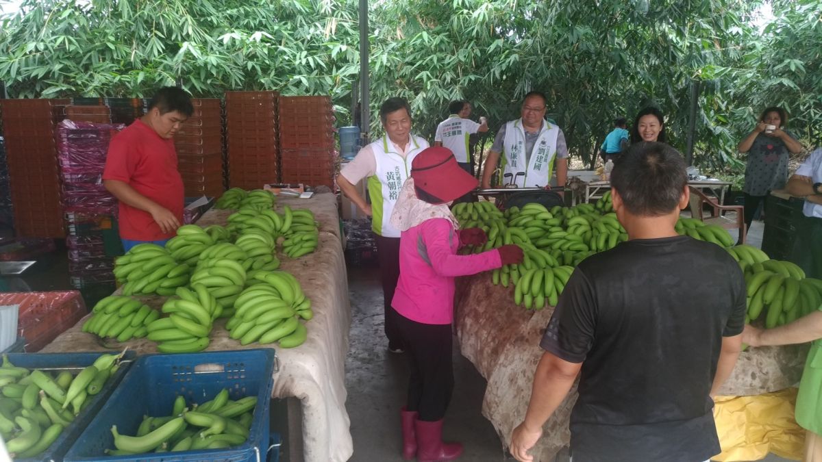 ▲農委會與立委劉建國攜手促銷雲林地區香蕉確保農民收益。（圖／記者洪佳伶攝,2020.09.25）