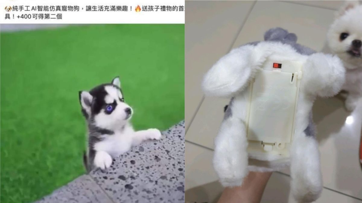 ▲臉書詐騙又來了！一名網友看到有不肖廠商宣傳「AI智能仿真寵物狗」，沒想到下單後收到的實體卻讓他大怒。（圖／臉書社團《爆料公社》）