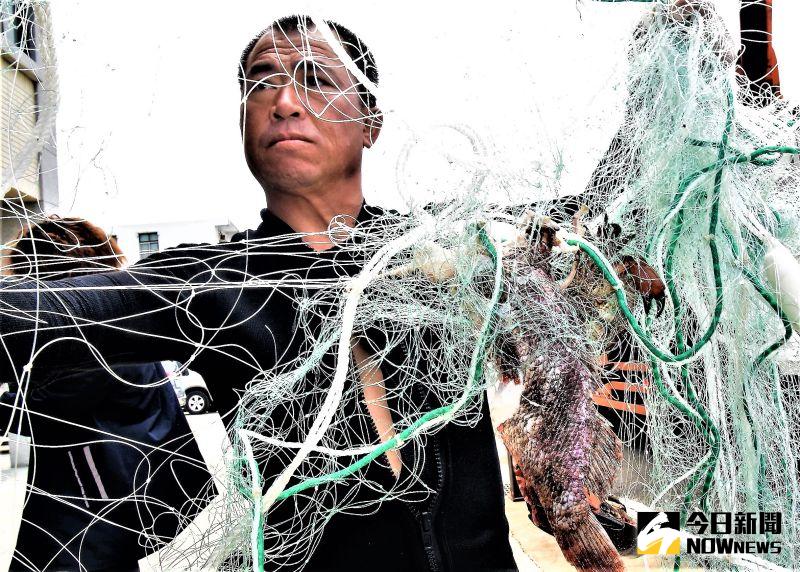 ▲刺網常與礁石糾結成為「海中鬼網」，纏繞海鳥、海龜、鯨豚等生物，導致魚類器官損害或死亡。（圖／記者張塵攝，2020.09.28）